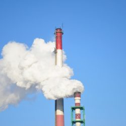 Natuurvergunning en intern salderen